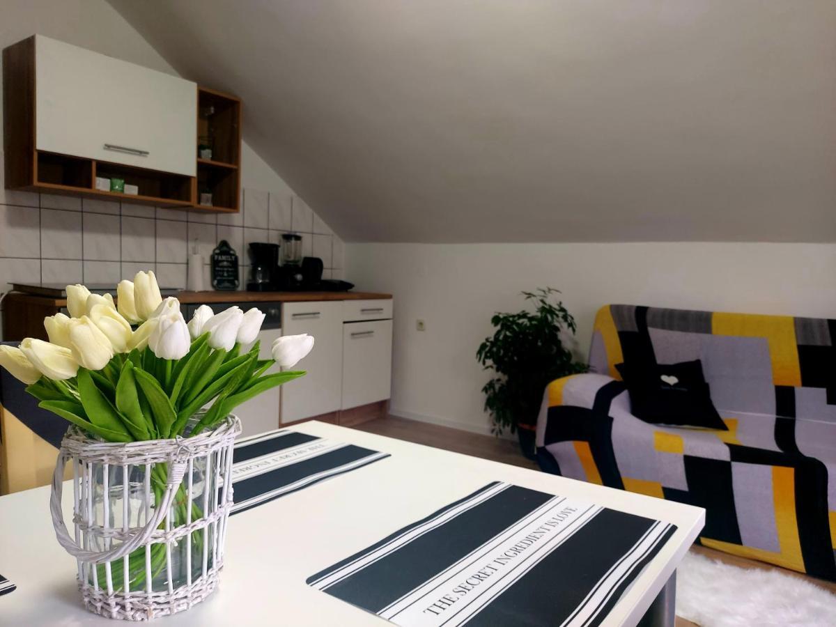 Guest House Gacka Rogic Otočac 外观 照片
