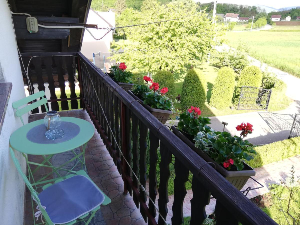 Guest House Gacka Rogic Otočac 外观 照片